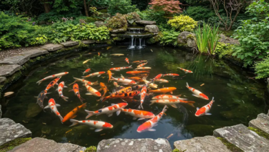 Create the Perfect Koi Pond Ambiance with a Waterfall Blade