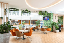 IMPACT OF RESTAURANT CHAIR DESIGNS