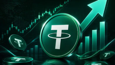 Key Aspects of a Large-Scale Exchange of Tether (USDT) for Solana (SOL)