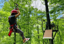 A Family Guide To Planning A Safe And Fun Zipline Day