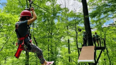 A Family Guide To Planning A Safe And Fun Zipline Day