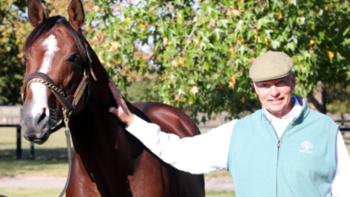 The Dynamic World of Bloodstock Auctions: An Insider's Guide
