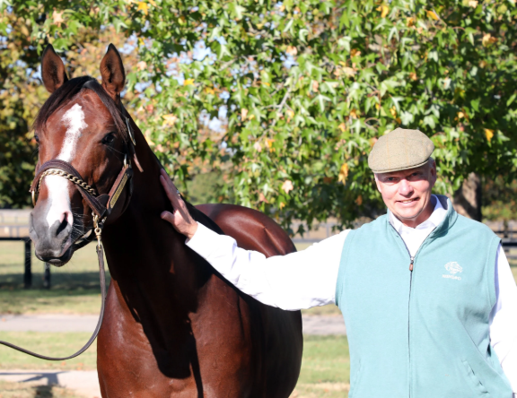 The Dynamic World of Bloodstock Auctions: An Insider's Guide