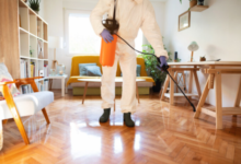 The Benefits of a Pest Control Subscription for Homeowners