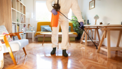 The Benefits of a Pest Control Subscription for Homeowners