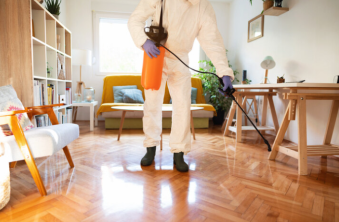 The Benefits of a Pest Control Subscription for Homeowners
