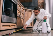 Effective Pest Control Solutions in Bowral with Southern Highlands Pest Control