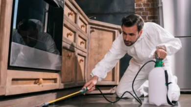 Effective Pest Control Solutions in Bowral with Southern Highlands Pest Control
