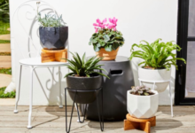 Top Tips for Choosing the Perfect Plant Pots to Elevate Your Garden