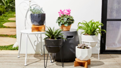 Top Tips for Choosing the Perfect Plant Pots to Elevate Your Garden