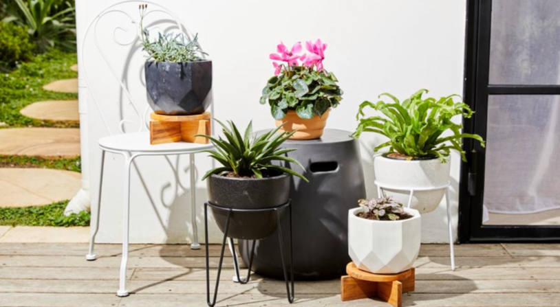 Top Tips for Choosing the Perfect Plant Pots to Elevate Your Garden