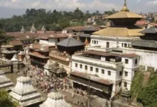 How to Combine Pilgrimage and Wildlife Experiences on a Nepal Trip from India