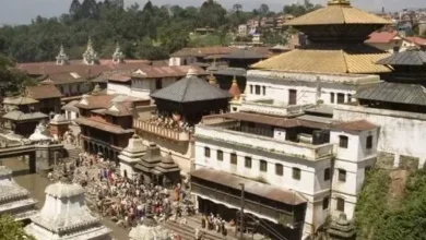 How to Combine Pilgrimage and Wildlife Experiences on a Nepal Trip from India