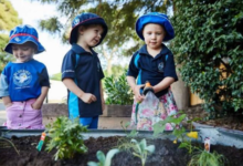 Exploring Quality Childcare Options in Sinnamon Park