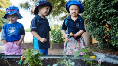 Exploring Quality Childcare Options in Sinnamon Park
