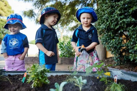 Exploring Quality Childcare Options in Sinnamon Park