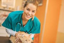 The Growing Need for Preventive Screenings in Veterinary Clinics