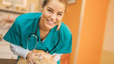 The Growing Need for Preventive Screenings in Veterinary Clinics