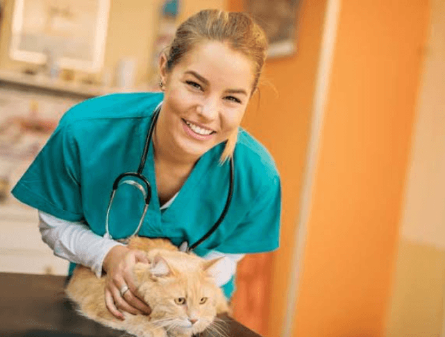 The Growing Need for Preventive Screenings in Veterinary Clinics