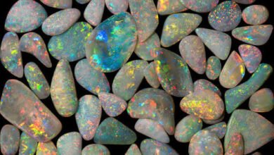 Maximising Returns: A Comprehensive Guide to Participating in Opal Auctions