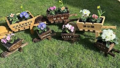 Transform Your Garden with Unique Handmade Pots