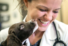 How Animal Hospitals Adapt To Advances In Veterinary Medicine