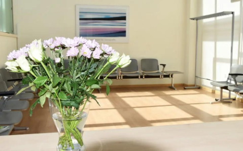 Hospital Flower Arrangements: Ideas for a Calm and Welcoming Environment