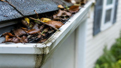 A Practical Seasonal Guide to Inspecting and Caring for Your Home’s Exterior