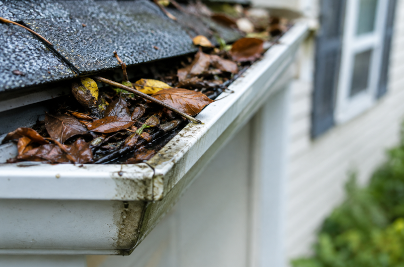 A Practical Seasonal Guide to Inspecting and Caring for Your Home’s Exterior