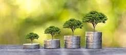 Financial Resilience